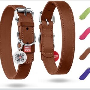 WAUDOG Leather Collar